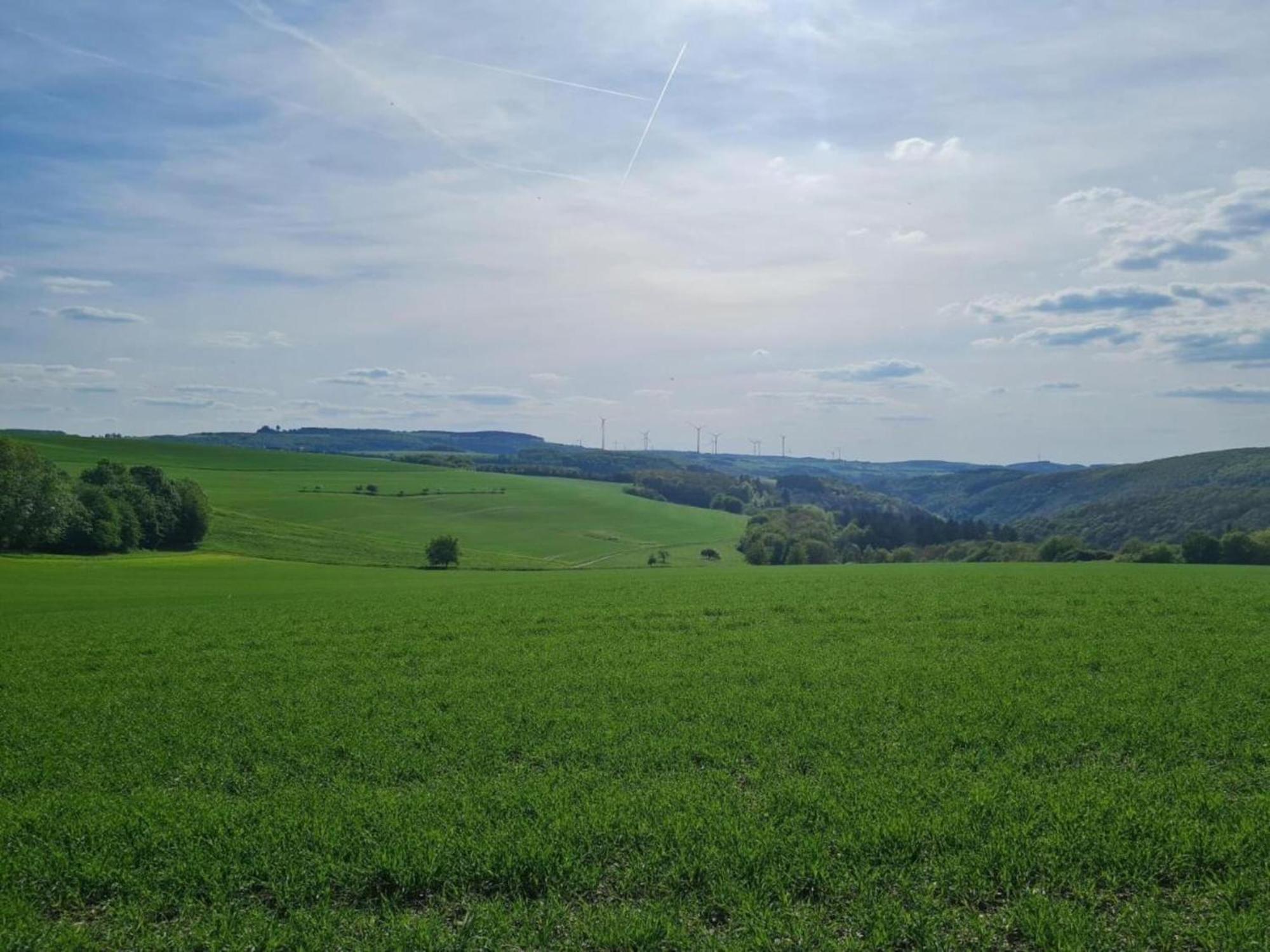 Tranquil Holiday Home In Filz In The Eifel With Garden エクステリア 写真